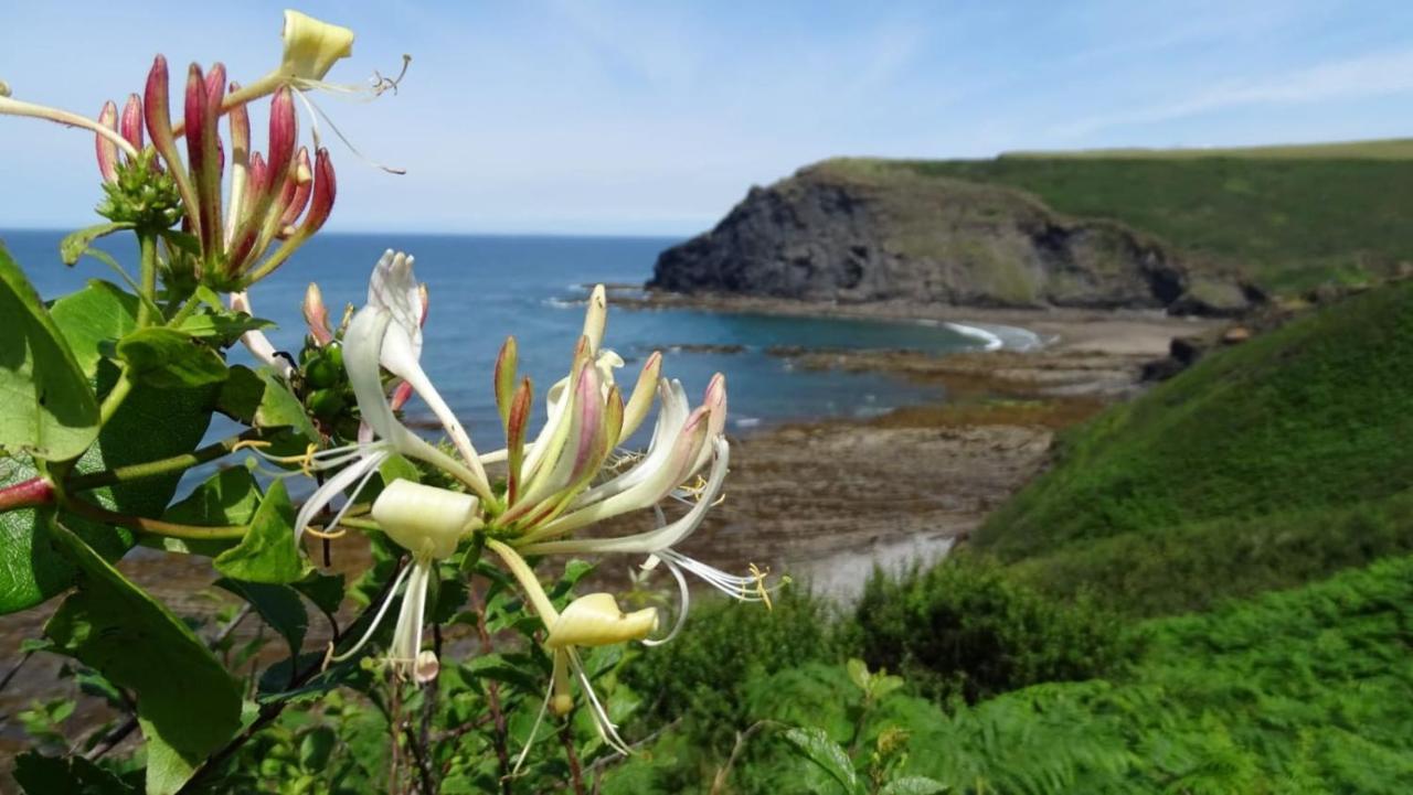 Chalet 18 Widemouth Bay Holiday Village Bude Buitenkant foto